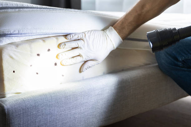 Best Affordable Pest Control Services  in Hampton Beach, NH