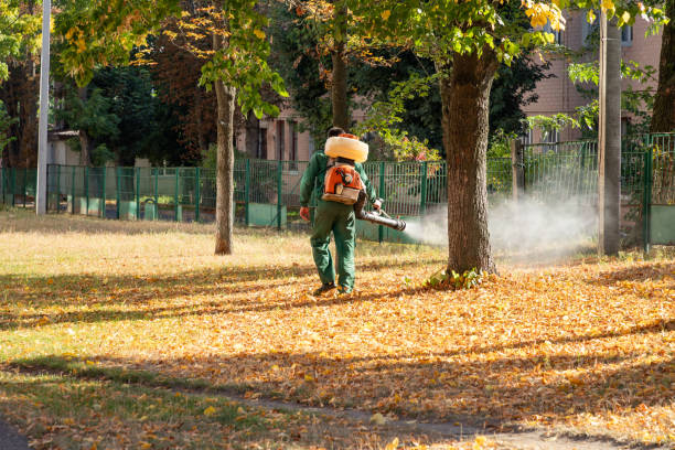 Best Wasp Removal Services  in Hampton Beach, NH